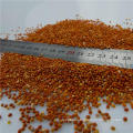 high quality red broom corn millet for bird food